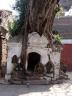 Kathmandu - strom